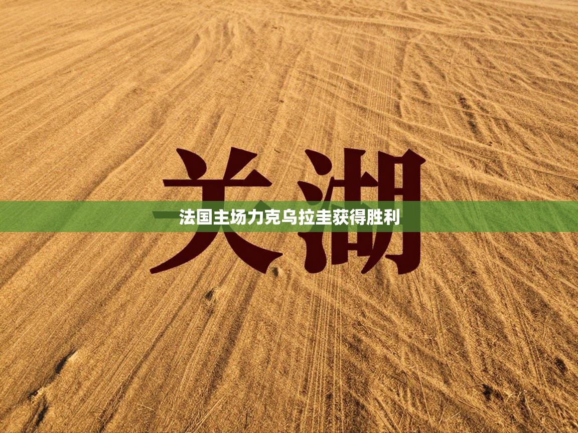 法国主场力克乌拉圭获得胜利  第1张