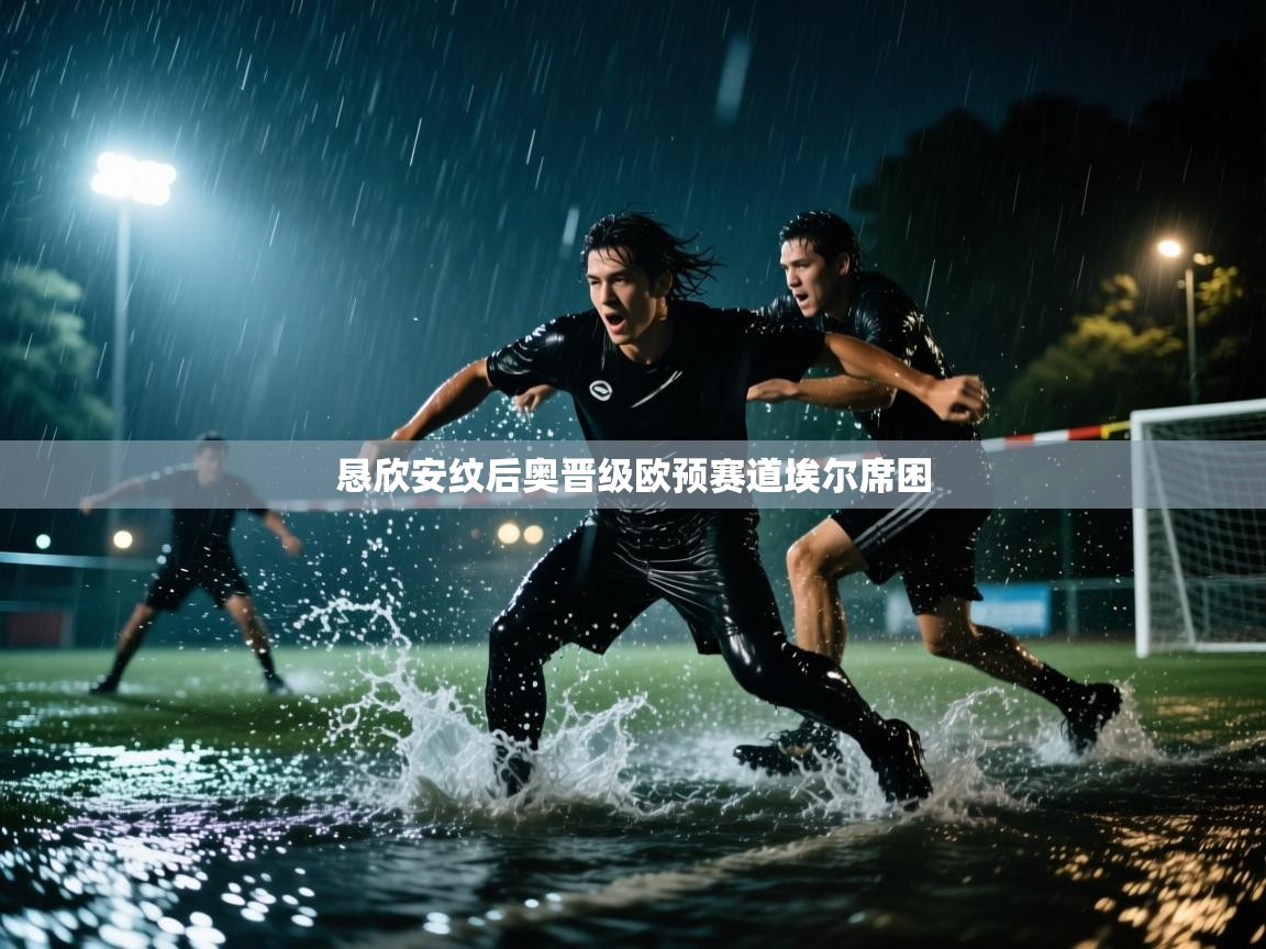 恳欣安纹后奥晋级欧预赛道埃尔席困  第1张
