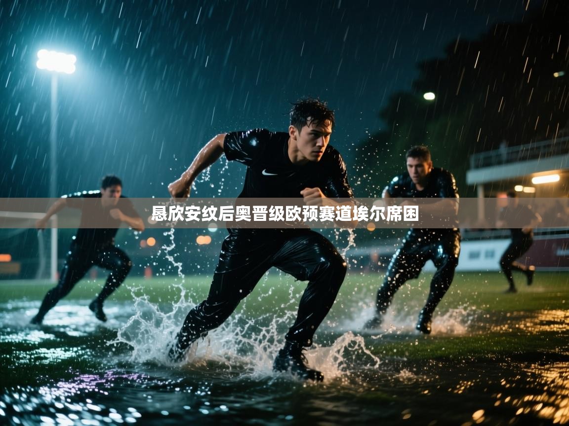 恳欣安纹后奥晋级欧预赛道埃尔席困  第2张