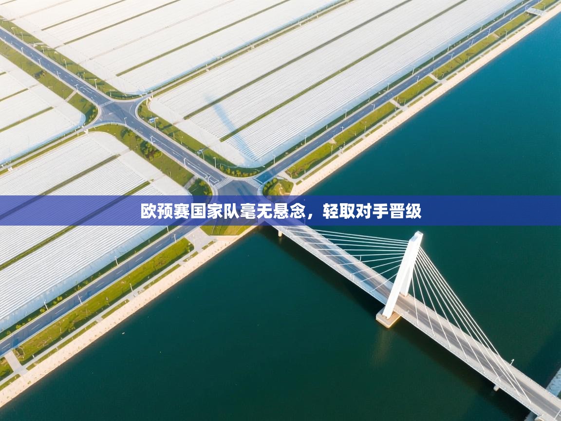 欧预赛国家队毫无悬念，轻取对手晋级  第1张
