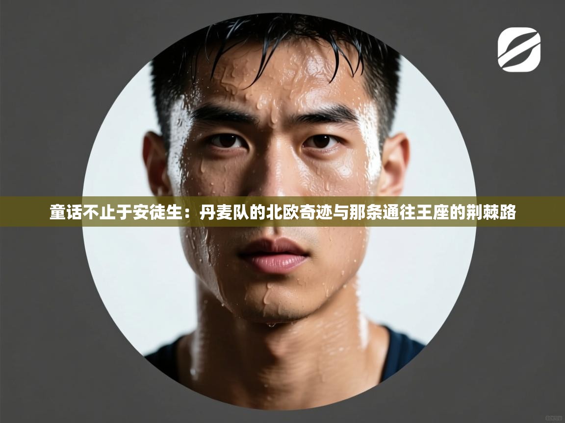 童话不止于安徒生：丹麦队的北欧奇迹与那条通往王座的荆棘路  第1张