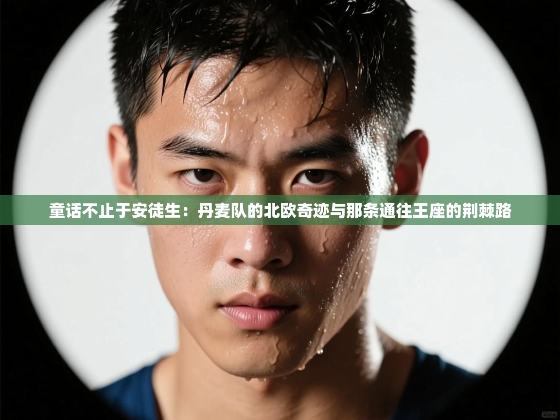 童话不止于安徒生：丹麦队的北欧奇迹与那条通往王座的荆棘路  第2张