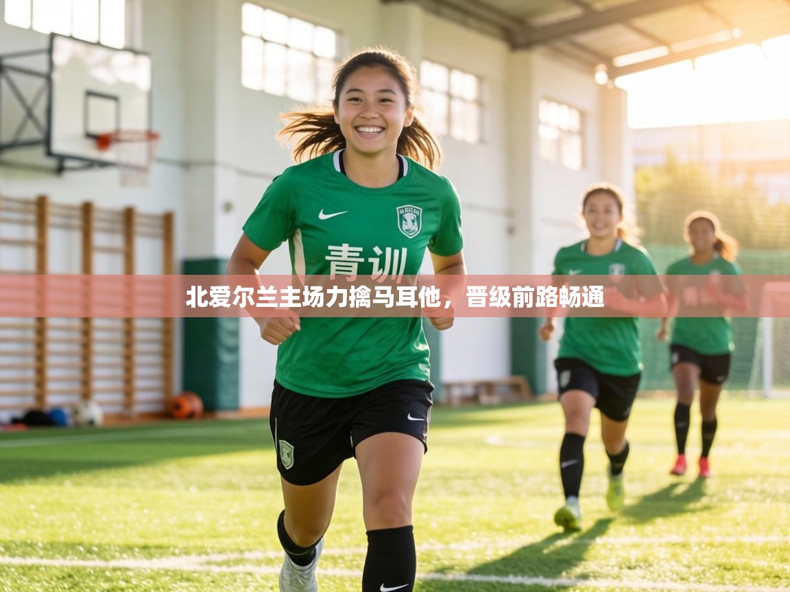 北爱尔兰主场力擒马耳他，晋级前路畅通  第2张